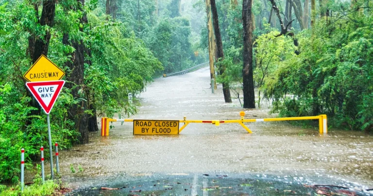 ADAS Safety in Heavy Rain: Real-World Performance and Reliability Insights